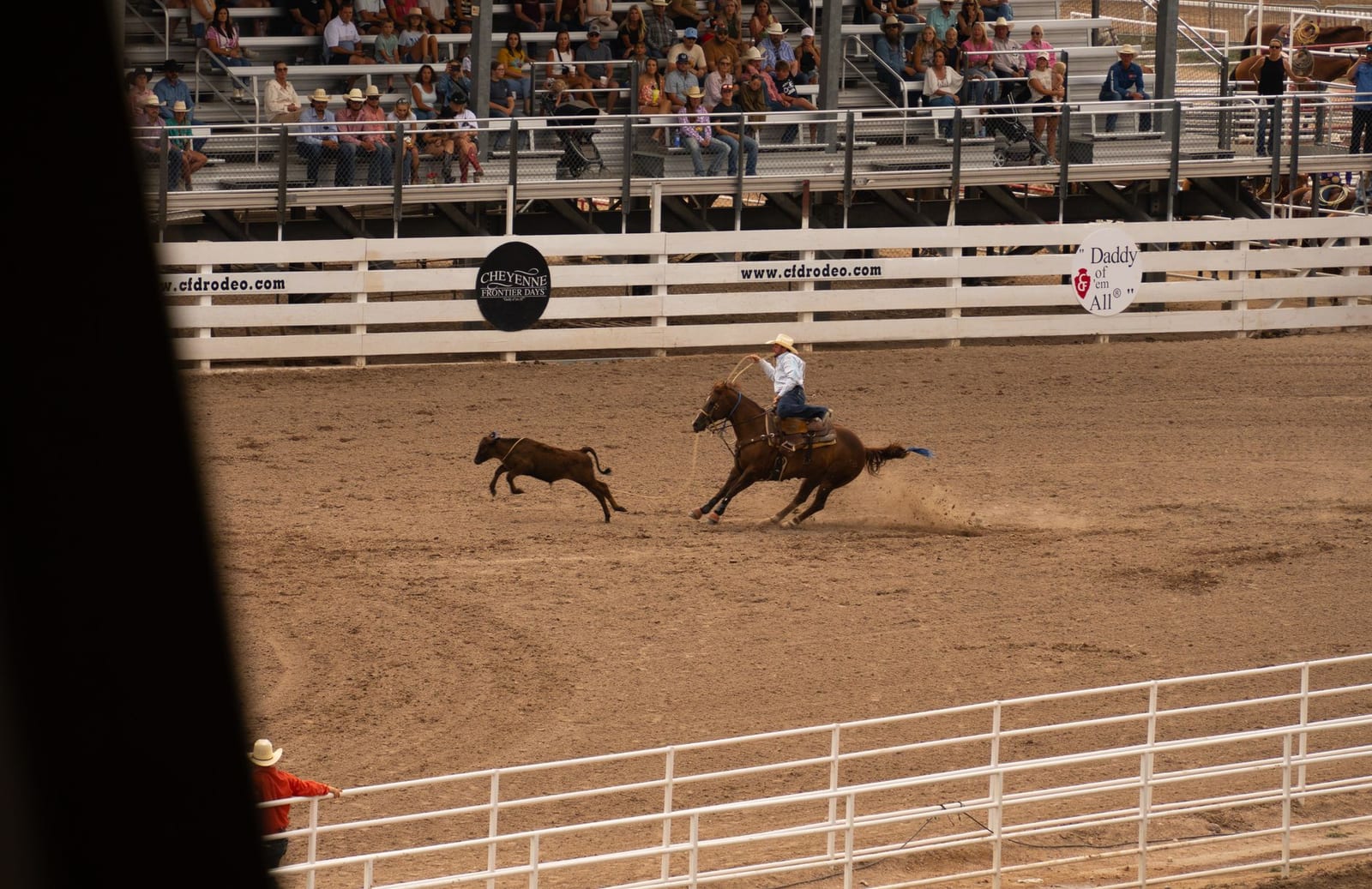 Wide view across the Frontier Park arena during a tie-down roping run, with the arena fence banners and mostly empty upper bleachers behind.