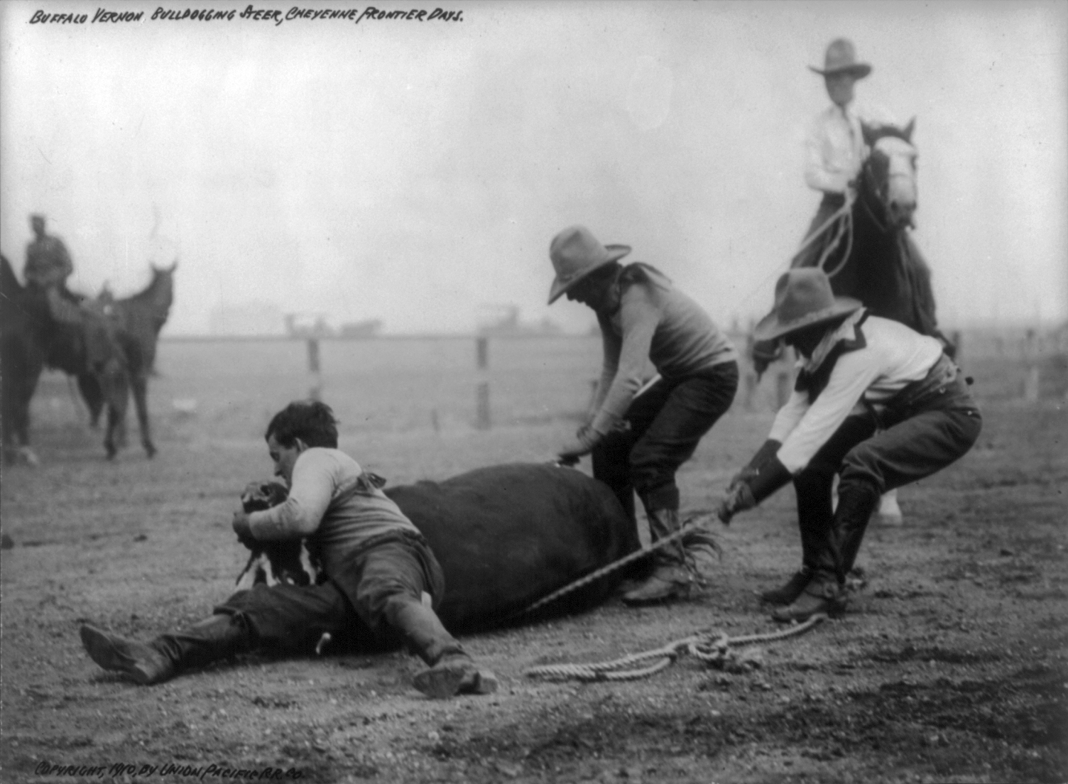 Saddle bronc rider mid-buck at Cheyenne Frontier Days, with packed grandstands visible in the background under a Wyoming summer sky.