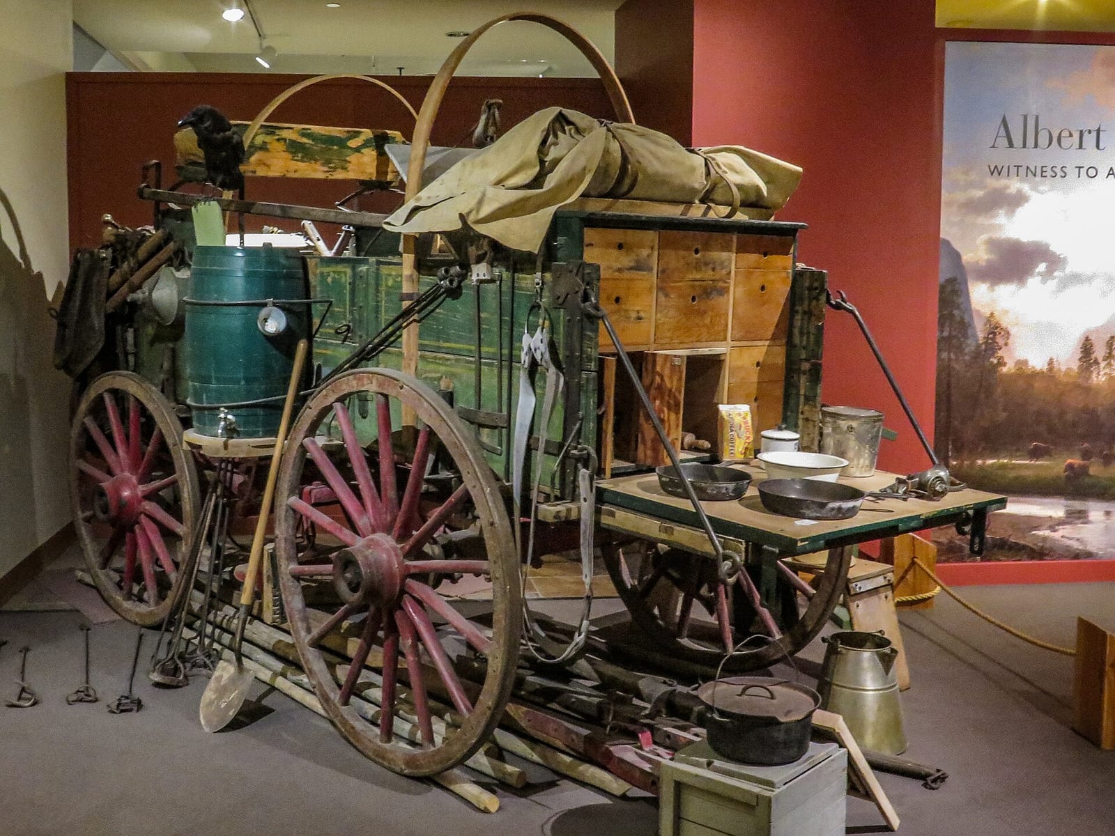 A fully outfitted period chuckwagon on display inside the Buffalo Bill Center of the West, with its hinged chuck box open showing tins, pans and a water keg, mounted against a red gallery wall.
