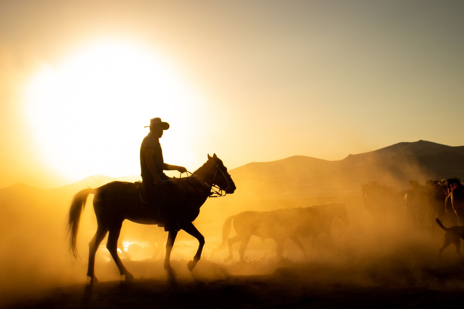 Cowboy in jeans and boots standing on dry ground.