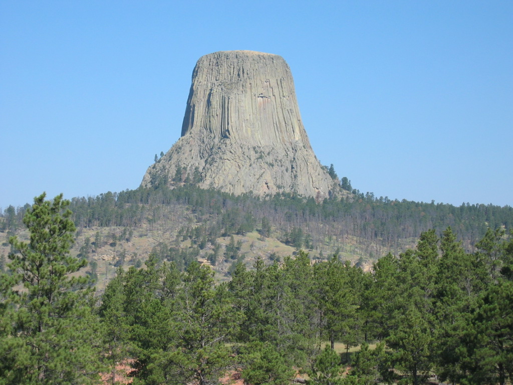 Devils Tower National Monument rising 867 feet above the Belle Fourche River valley in northeastern Wyoming, with its distinctive vertical columnar joints and the surrounding ponderosa pine forest.