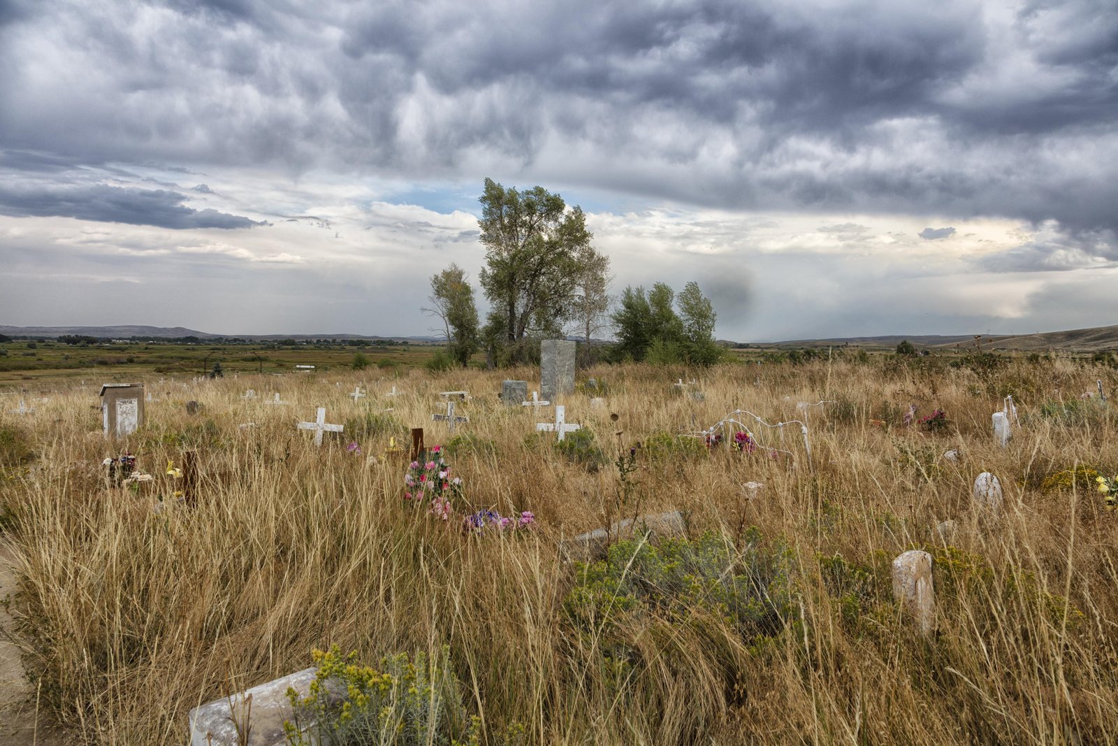 Small white grave markers scattered through waist-high prairie grass on rolling open ground, a single cottonwood in the middle distance and a storm building over low hills behind.