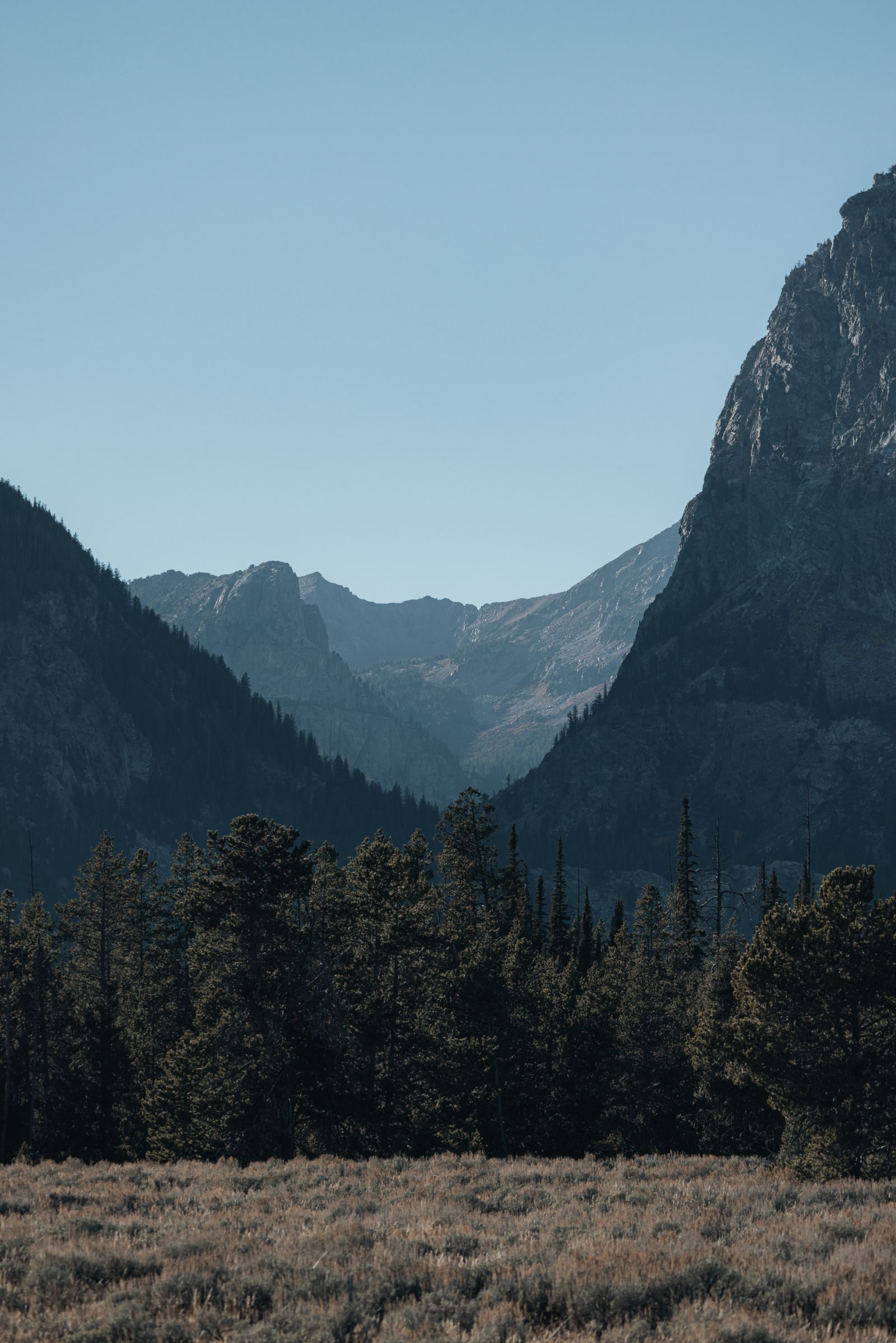 Sparse high-country landscape, evergreens and rock.