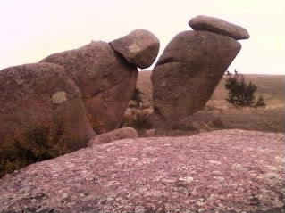 The rounded granite rock formations at Vedauwoo Recreation Area in the Sherman Mountains, Wyoming, with pine trees growing between the boulders.