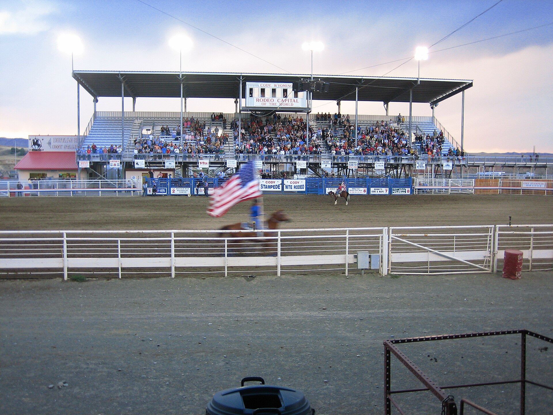 A saddle bronc rider competing at the Cody Stampede rodeo arena, with the summer crowd visible in the background.