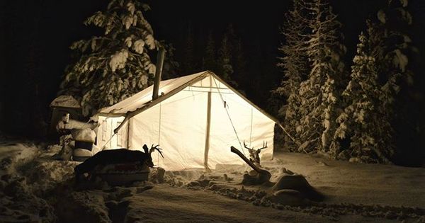 Backcountry elk camp at dawn in the Wyoming Bighorns, with a wall tent, picketed pack horses, and a hunter loading a saddle scabbard.
