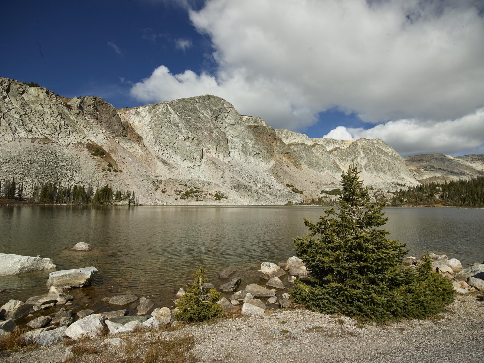 Lake Marie under the pale grey cliffs of the Snowy Range, a lone spruce and a scatter of boulders along the near shore.
