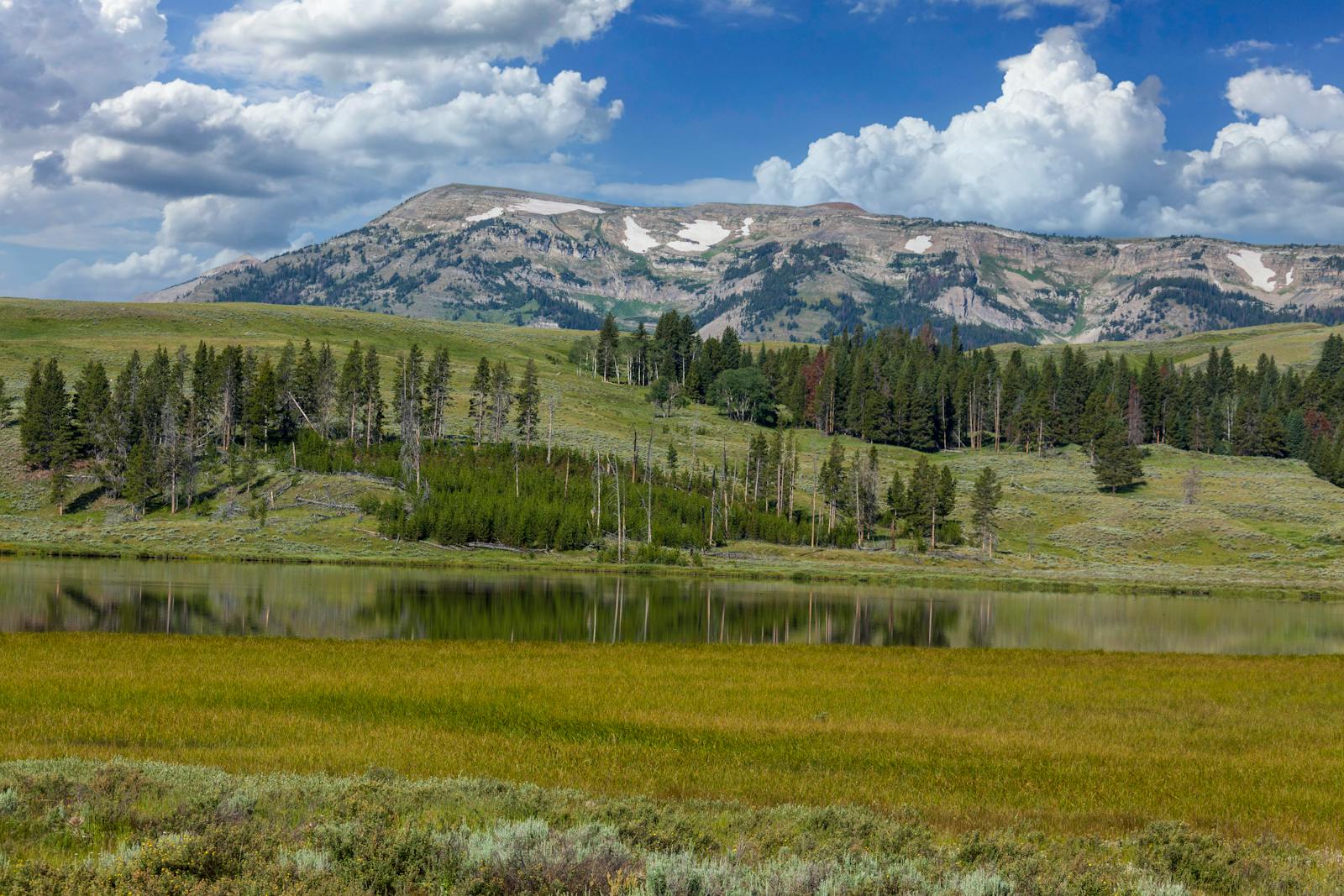 Snowy Range peaks rising above forested foothills.