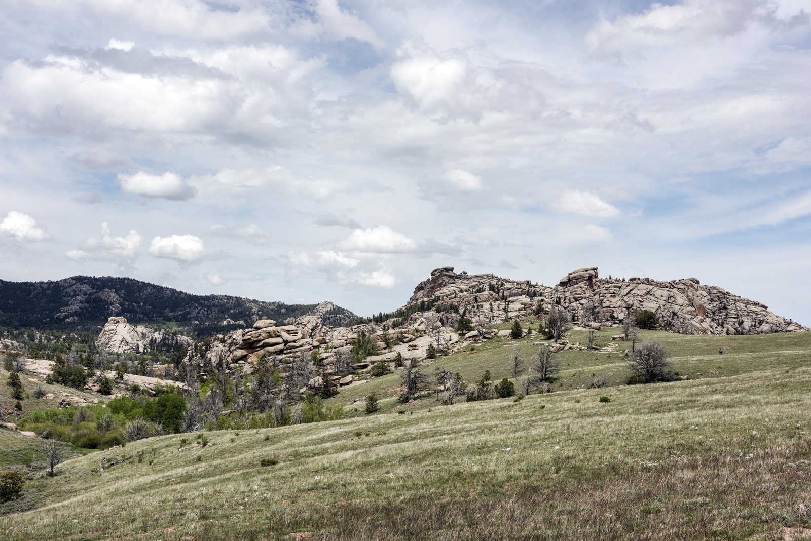 Rounded piles of weathered granite standing out of a grassy hillside with scattered pines, Vedauwoo, Wyoming.
