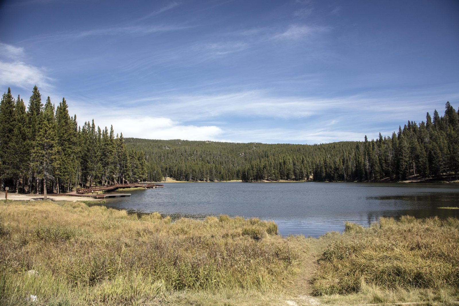 A high-country lake ringed by lodgepole pine and willow flats under a wide blue sky, Sheridan County, Wyoming.