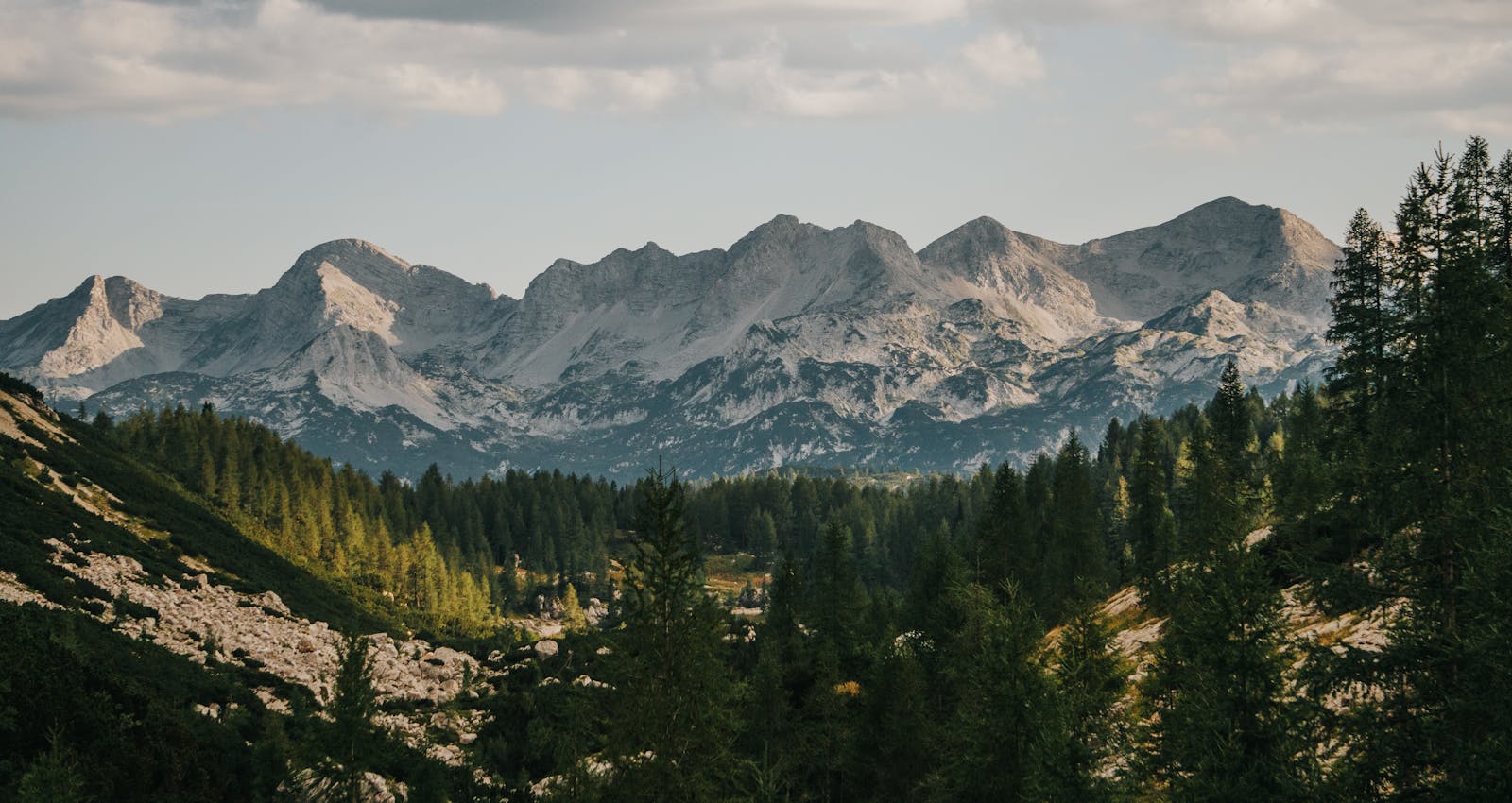 Wyoming elk country, alpine basin opening above timberline.